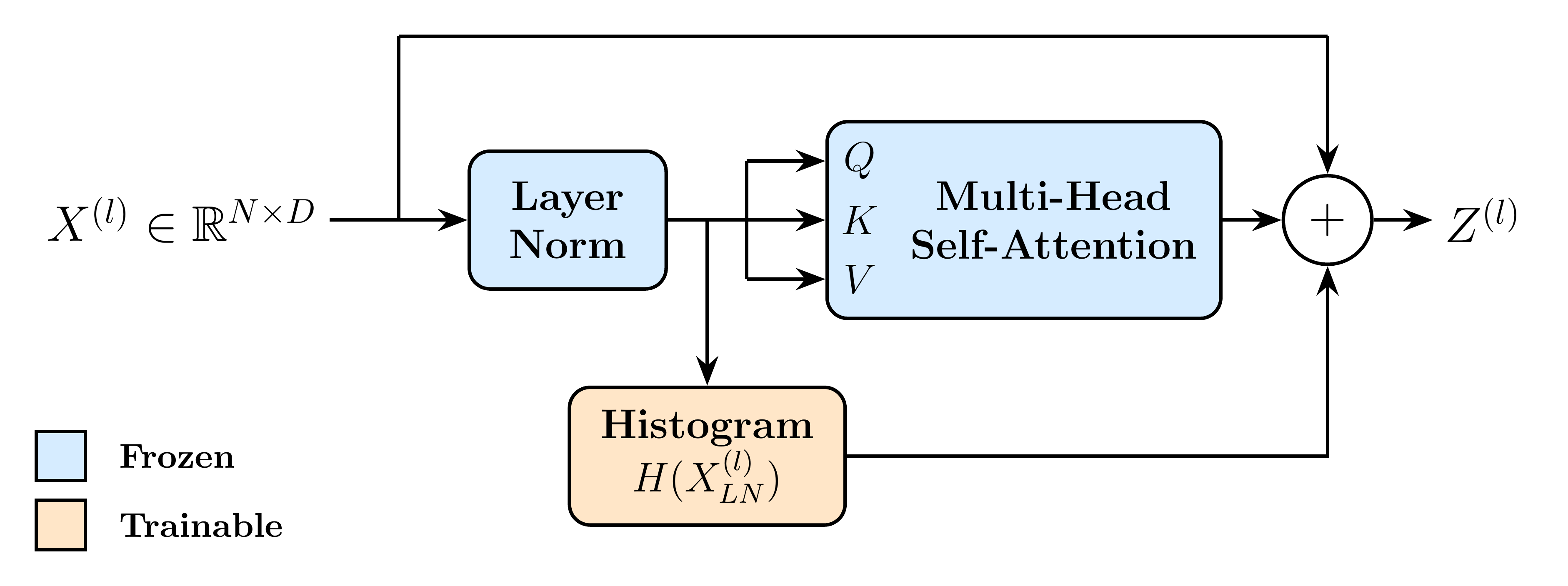A trainable histogram branch adds distributional information alongside a frozen Transformer self-attention block.