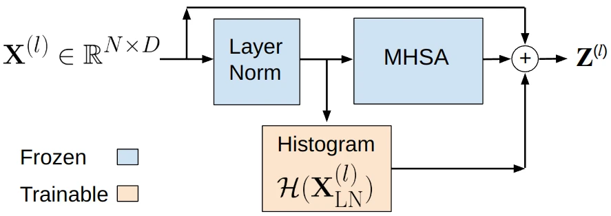 Histogram tuning adds a trainable distribution module alongside frozen Transformer components.